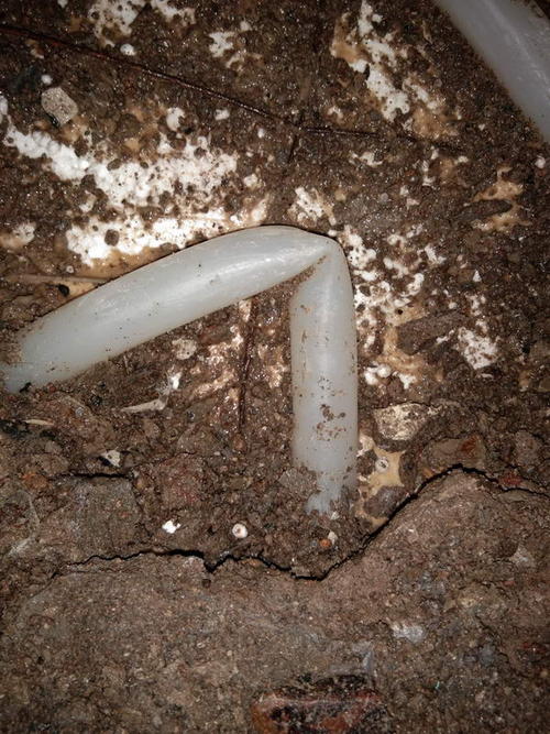 旌德堵点精准查找